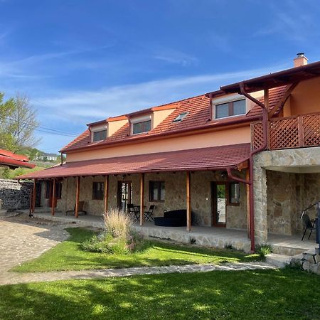 Szoegedi Villa Бадачоньтомай Экстерьер фото